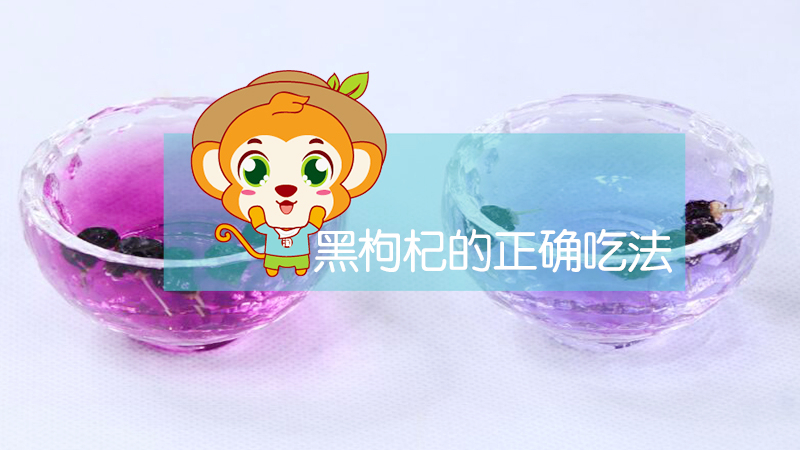 黑枸杞的正確吃法