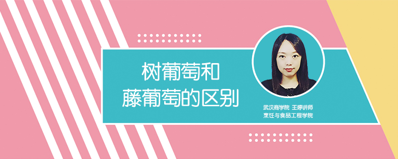 樹葡萄和藤葡萄的區別