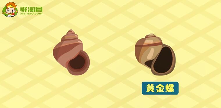 福壽螺和田螺的區別