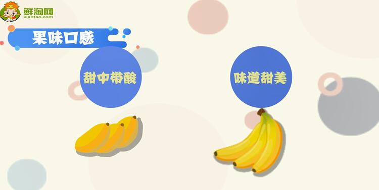芭蕉和香蕉的區別