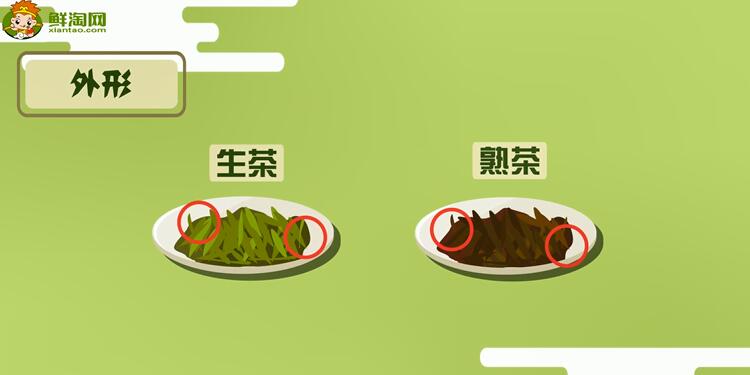 普洱生茶和熟茶的區(qū)別