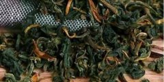 蒲公英茶泡鮮的還是干的，蒲公英茶怎么泡效果好