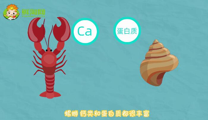 烏龜吃什么食物