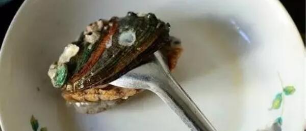 鮑魚怎么清洗，鮑魚清洗方法