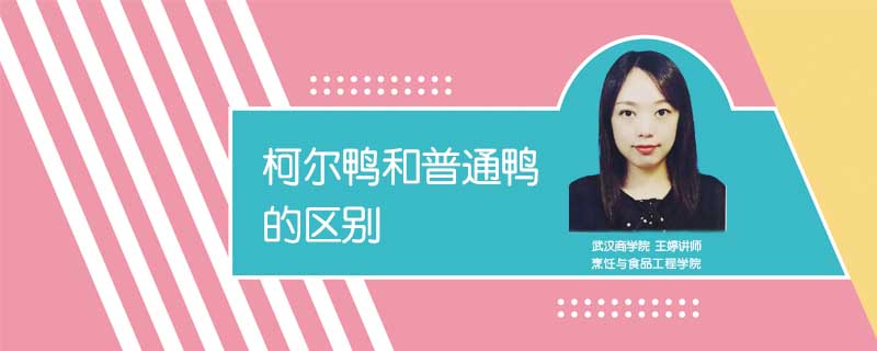 柯爾鴨和普通鴨的區別