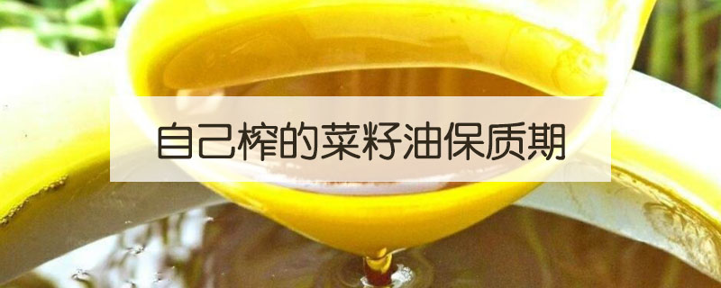 自己榨的菜籽油保質期