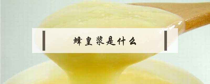 蜂皇漿是什么
