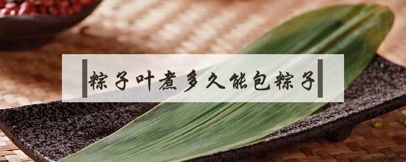 粽子葉煮多久能包粽子