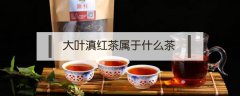 大葉滇紅茶屬于什么茶