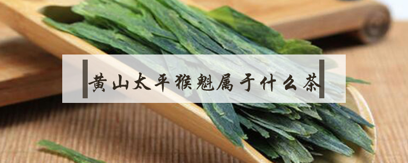 黃山太平猴魁屬于什么茶