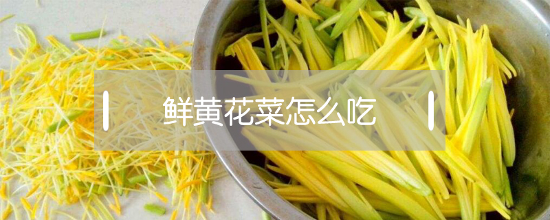 鮮黃花菜怎么吃