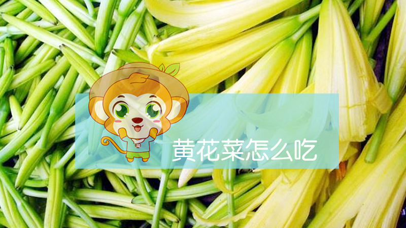 黃花菜怎么吃
