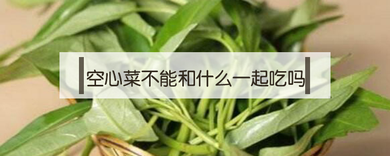 空心菜不能和什么一起吃嗎