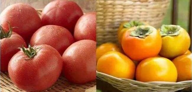 柿子和西紅柿有什么區別，柿子和西紅柿怎么分辨