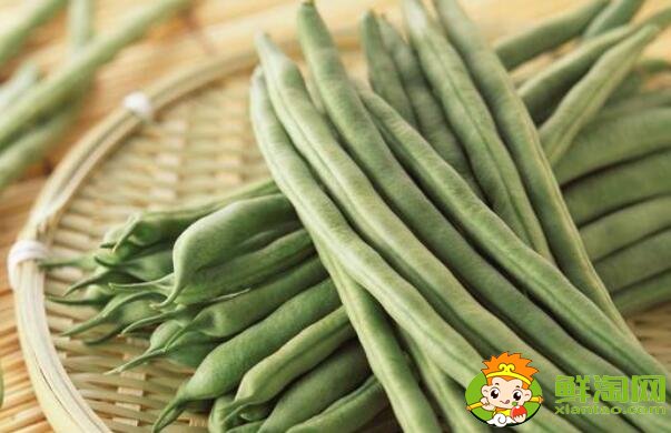蕓豆是不是四季豆，白蕓豆和白扁豆的區(qū)別