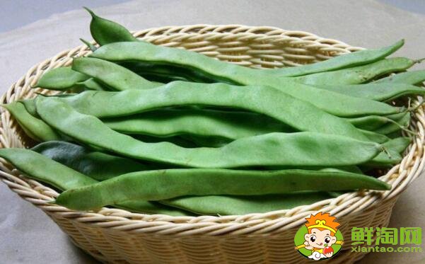 扁蕓豆什么時(shí)候種合適，秋蕓豆什么時(shí)候種合適