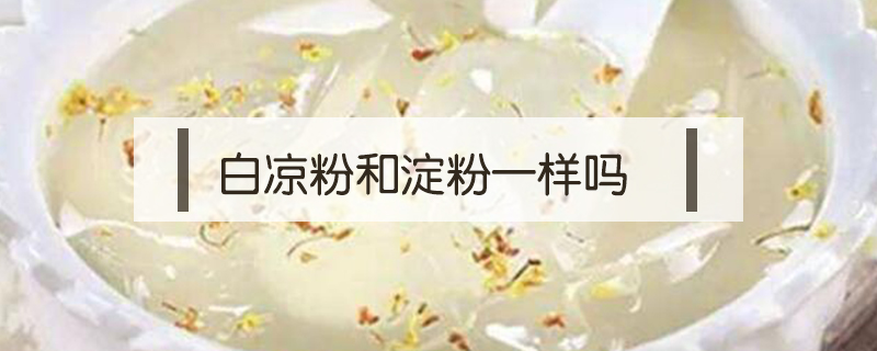 白涼粉和淀粉一樣嗎