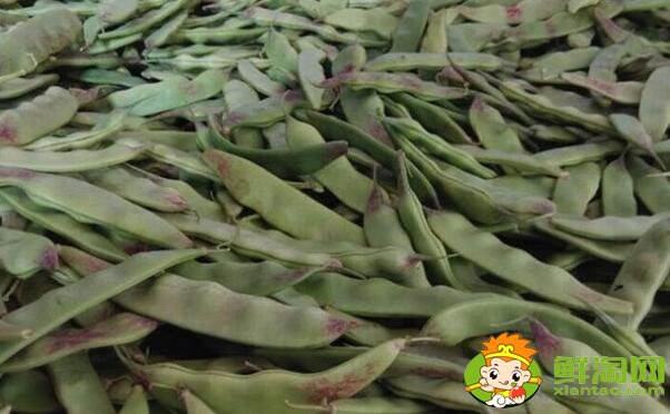 油豆角怎么冷凍保存，油豆角怎么凍冬天好吃