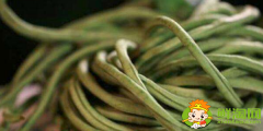 四季豆和豆角的區別，四季豆怎樣長期保存