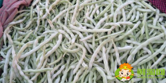 白不老豆角怎么挑選，買白不老豆角是嫩的好還是老的好