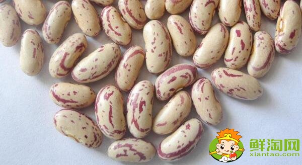 蕓豆長什么樣，蕓豆品種圖片大全