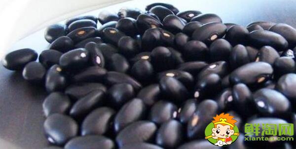 蕓豆長什么樣，蕓豆品種圖片大全