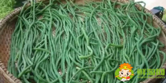 怎樣曬干豆角不發黃，干豆角怎么曬不變色