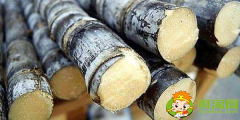 大連甘蔗什么時候成熟，大連哪里有種甘蔗的