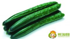 旱黃瓜和山黃瓜一樣嗎，什么旱黃瓜品種最好吃