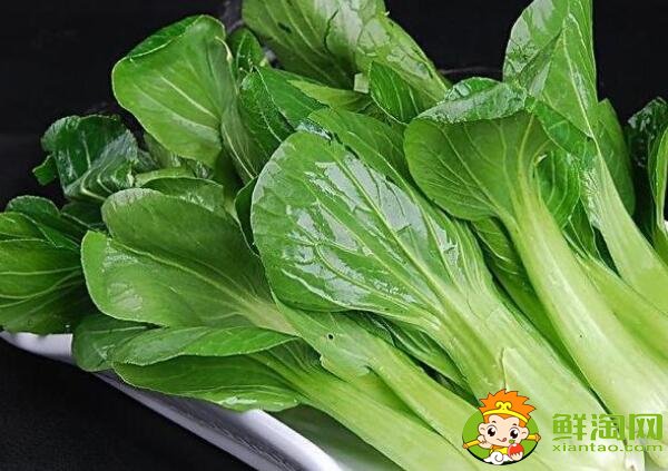 青菜如何保鮮，青菜如何長時間存放