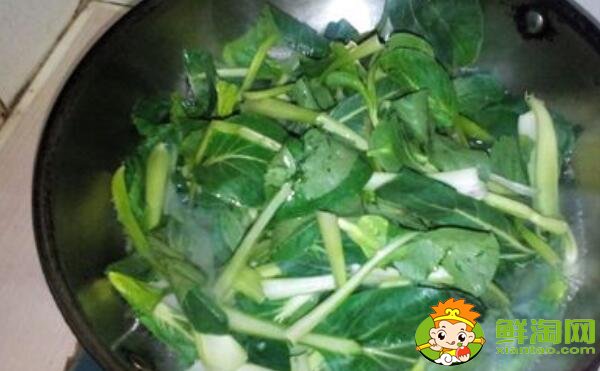 青菜如何保鮮，青菜如何長時間存放