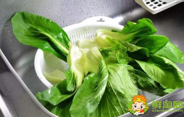 青菜有蟲子怎么辦，青菜有藍色顆粒有毒嗎