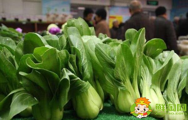 青菜什么時候吃最好，青菜有營養嗎