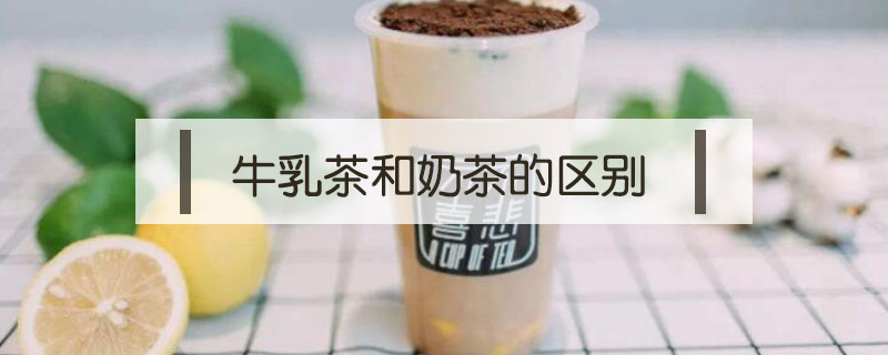 牛乳茶和奶茶的區別