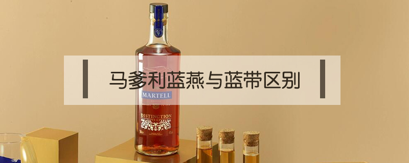 馬爹利藍(lán)燕與藍(lán)帶區(qū)別