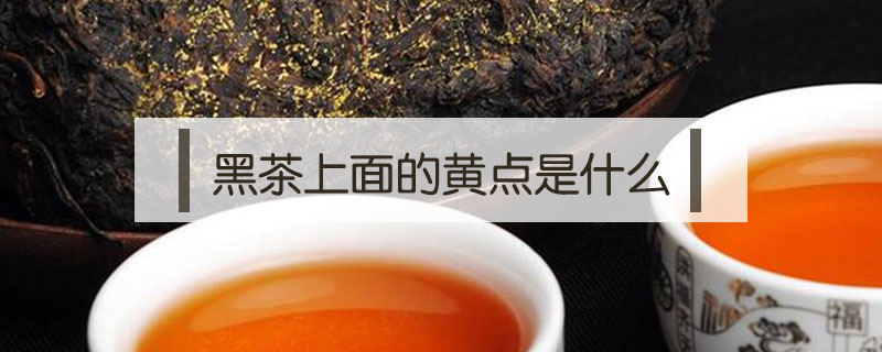 黑茶上面的黃點是什么