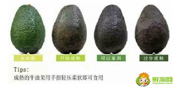 牛油果怎么挑選才甜，牛油果挑什么顏色的