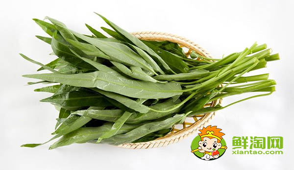 蕹菜又名什么,水雍菜和空心菜的區別