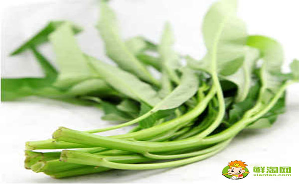 白桿空心菜青桿空心菜哪個好,白空心菜和綠空心菜的區別