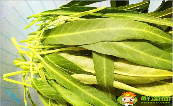 空心菜葉子要不要去掉,空心菜葉子發黃能吃嗎