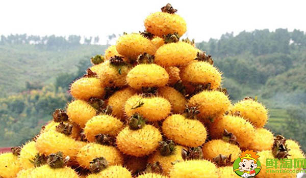 刺梨泡水可以天天喝嗎，刺梨是怎樣長時間保存