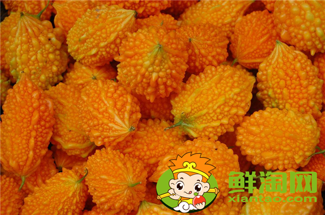 金鈴子吃什么部分，金鈴子里面的蟲子可以吃嗎