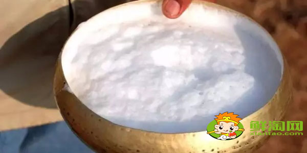 國家品牌駱駝奶哪個最好，國產最好駱駝奶粉品牌