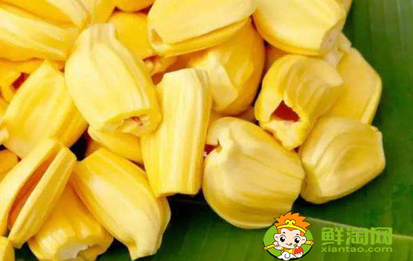 菠蘿蜜怎么保存才不壞,菠蘿蜜肉怎么保存