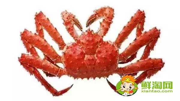 帝王蟹的蟹黃在哪里，帝王蟹為什么不吃黃