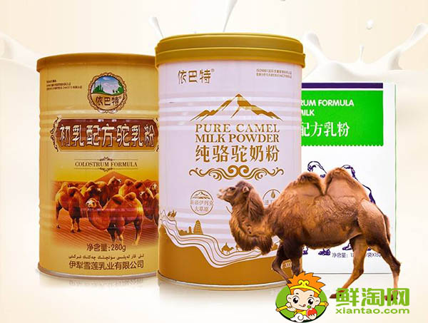 駝奶的十大好處，女人喝駱駝奶的好處