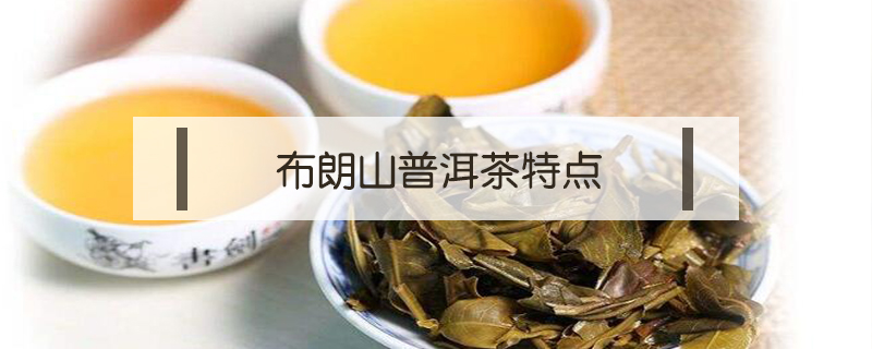 布朗山普洱茶特點