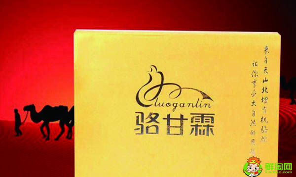 駝奶有什么大品牌呢，全球駝奶十大排名