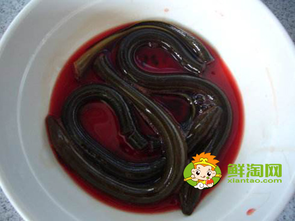 黃鱔血怎么吃最補(bǔ)，黃鱔血泡酒有什么功效