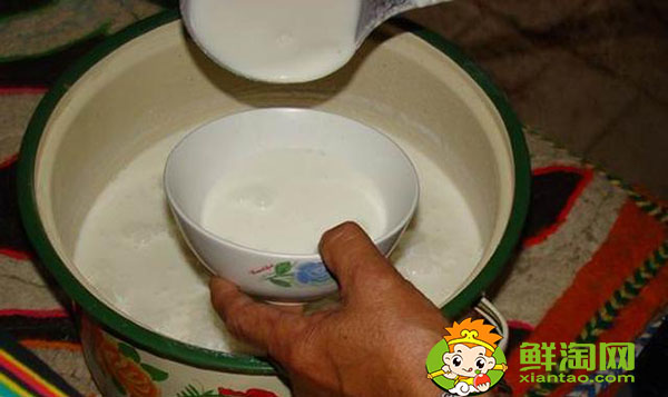 駱駝奶粉一天喝幾次好,駱駝奶粉一次喝多少克